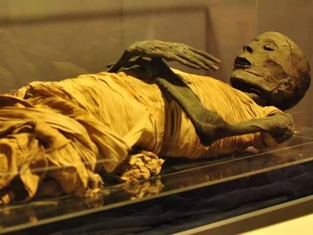 10-Day Egypt Museums and Heritage Tour NMEC