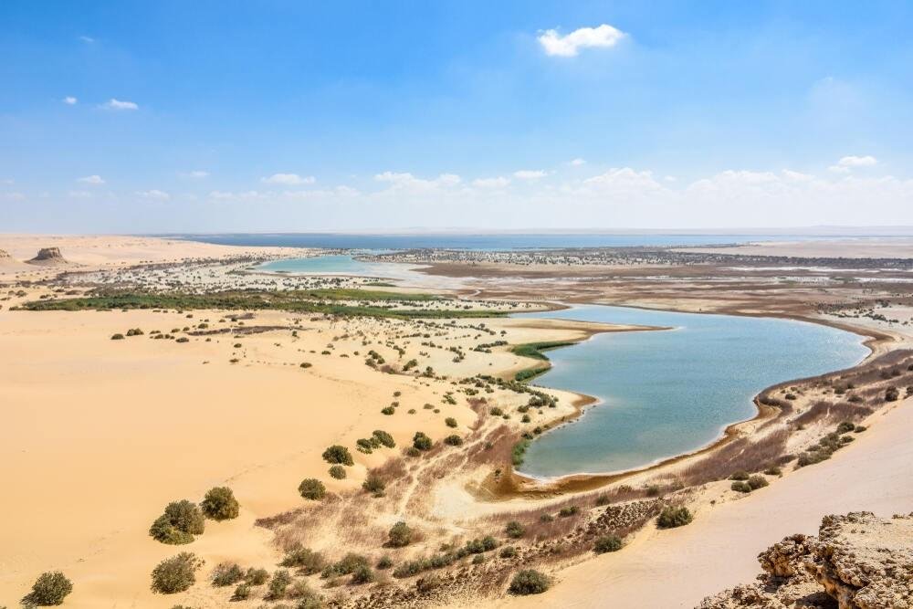 Fayoum Oasis landscape and village experience